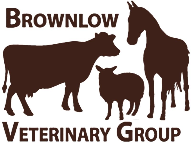 Brownlow Veterinary Group logo